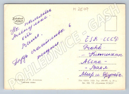 Postcard DM Astana Violets (M2579)