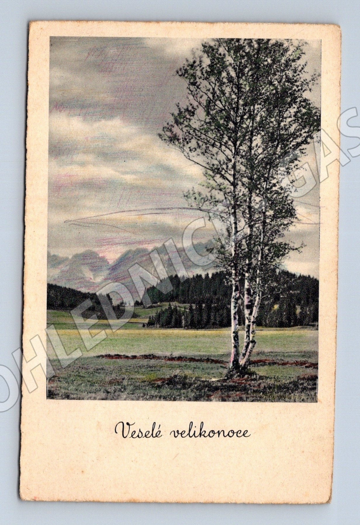 Pohlednice Veselé velikonoce, bříza v krajině (M25791)
