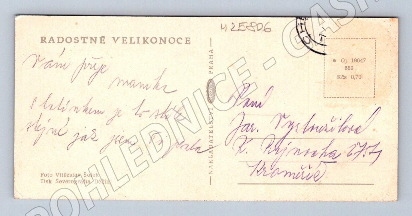 Pohlednice Velikonoční vejce mašle (M25806)