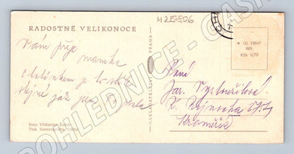 Pohlednice Velikonoční vejce mašle (M25806)