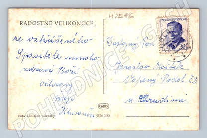 Pohlednice Velikonoce ovce pastva (M25816)