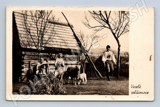 Pohlednice Vémyslice Velikonoce krojovaní lidé ovce 1947 (M25817)