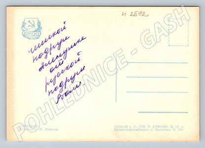 Postcard P. Pavlov carnations (M2582)