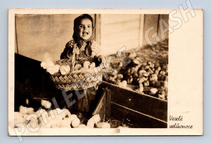 Pohlednice dítě s kuřaty Veselé velikonoce 1957 (M25820)