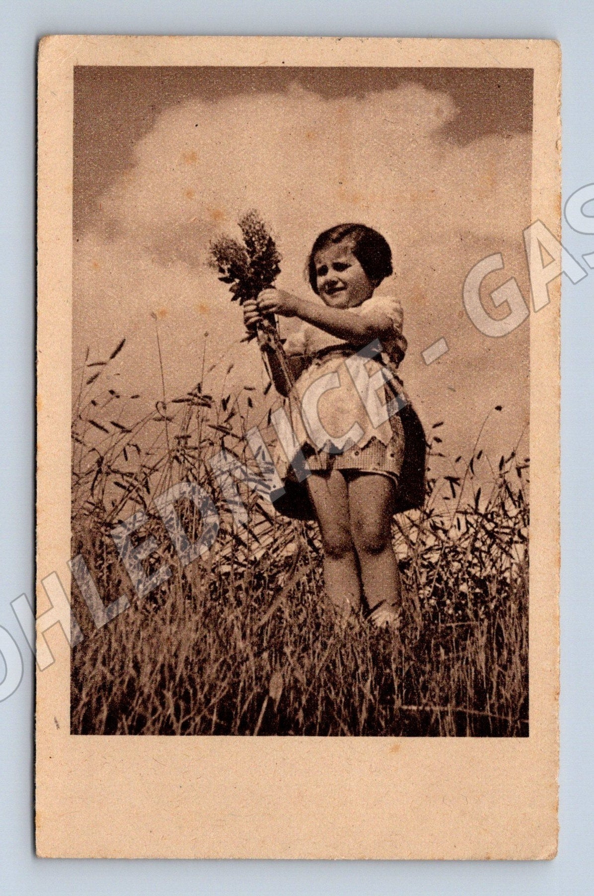 Pohlednice Německo dívka s květinami 1941 (M25821)