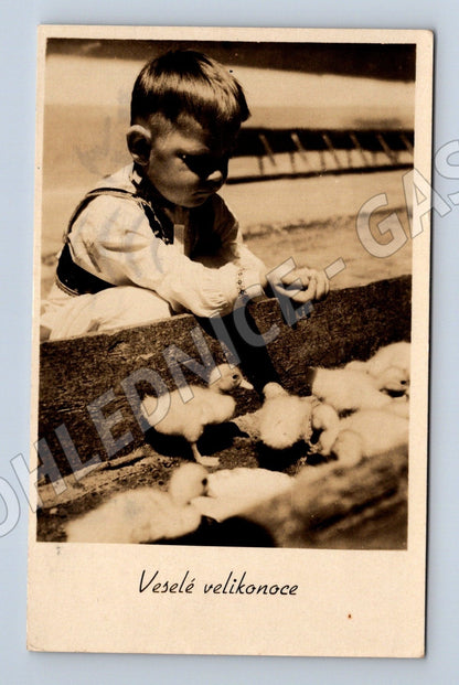 Pohlednice chlapec s kachňaty Velikonoce 1946 (M25822)