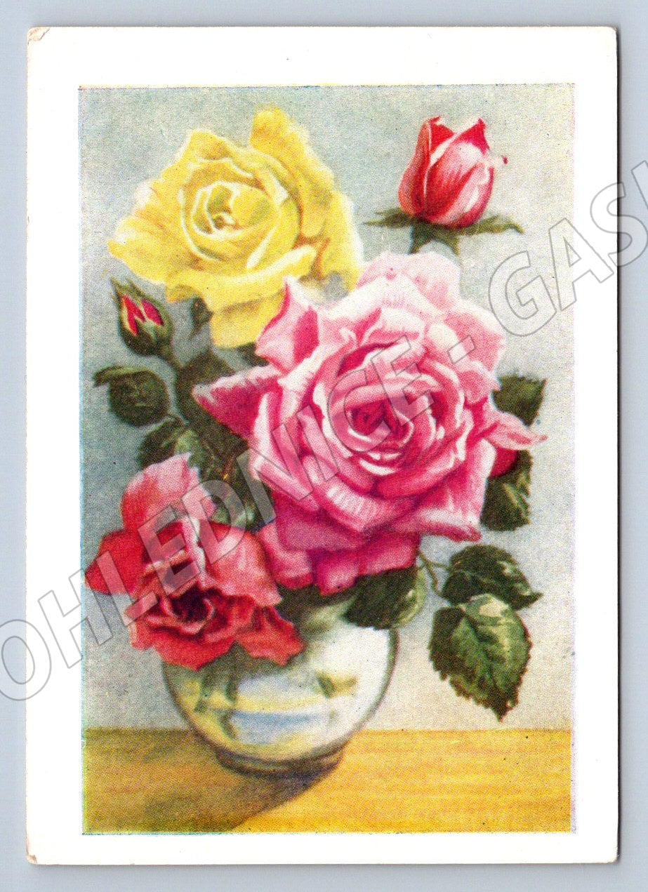 Postcard S. Mochalov rose illustration (M2583)