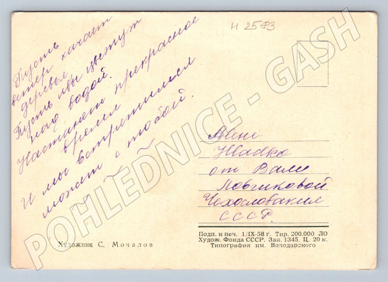 Postcard S. Mochalov rose illustration (M2583)