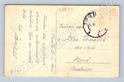 Pohlednice Velikonoční motiv vrby a fialky 1916 (M25831)