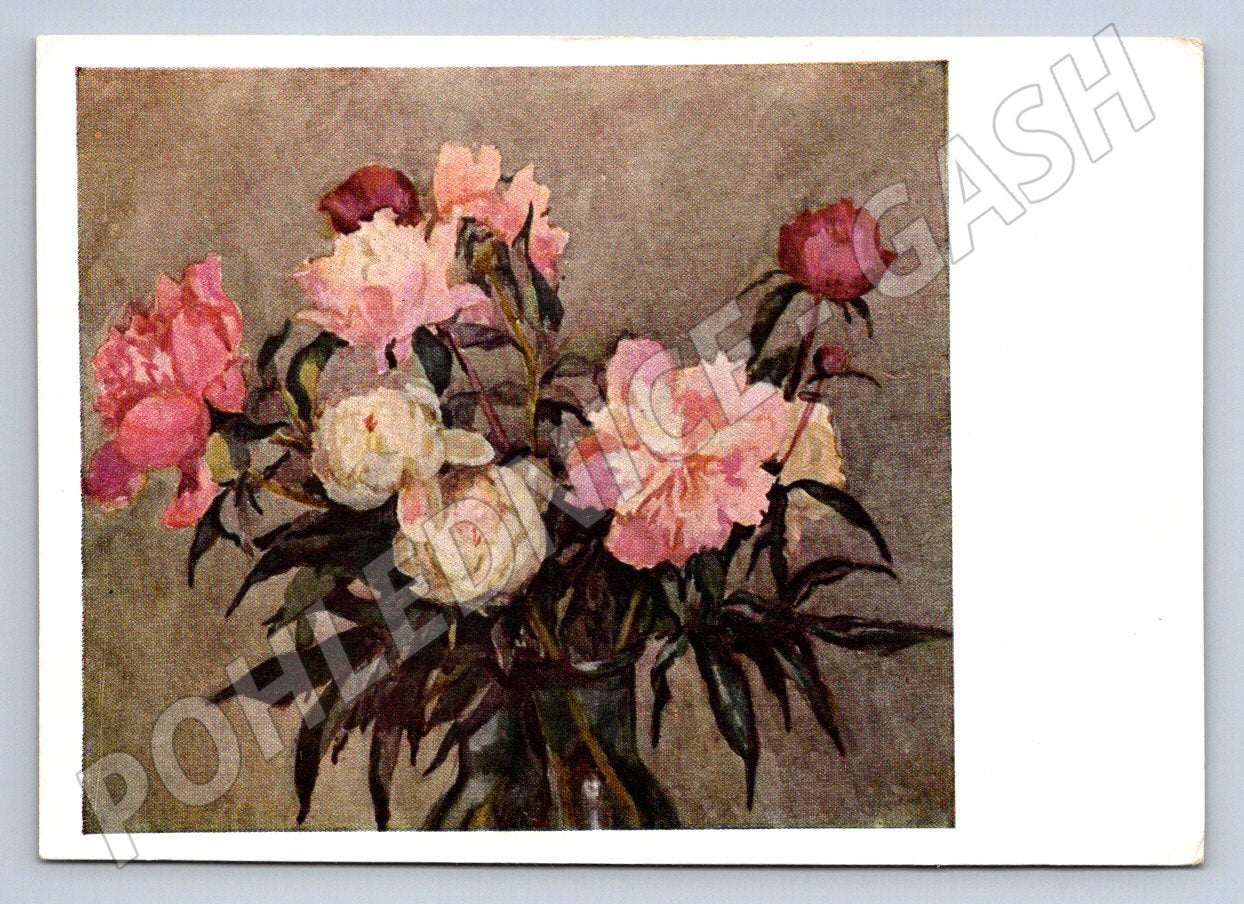 Postcard KK Kupeckio Peonies (M2584)