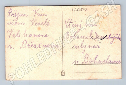 Pohlednice Radostné Velikonoce chlapec a kohout (M25842)
