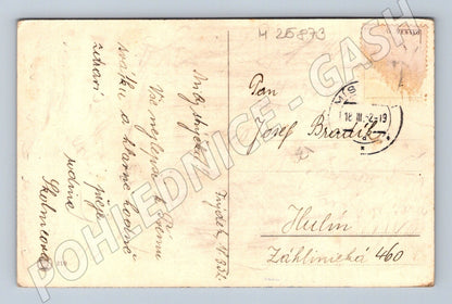 Pohlednice blahopřání květiny tulipány 1919 (M25873)