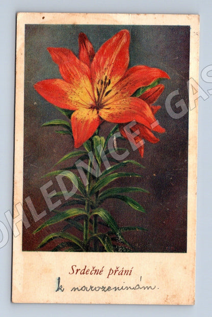 Pohlednice narozeninová kytice lilie 1950 (M25875)
