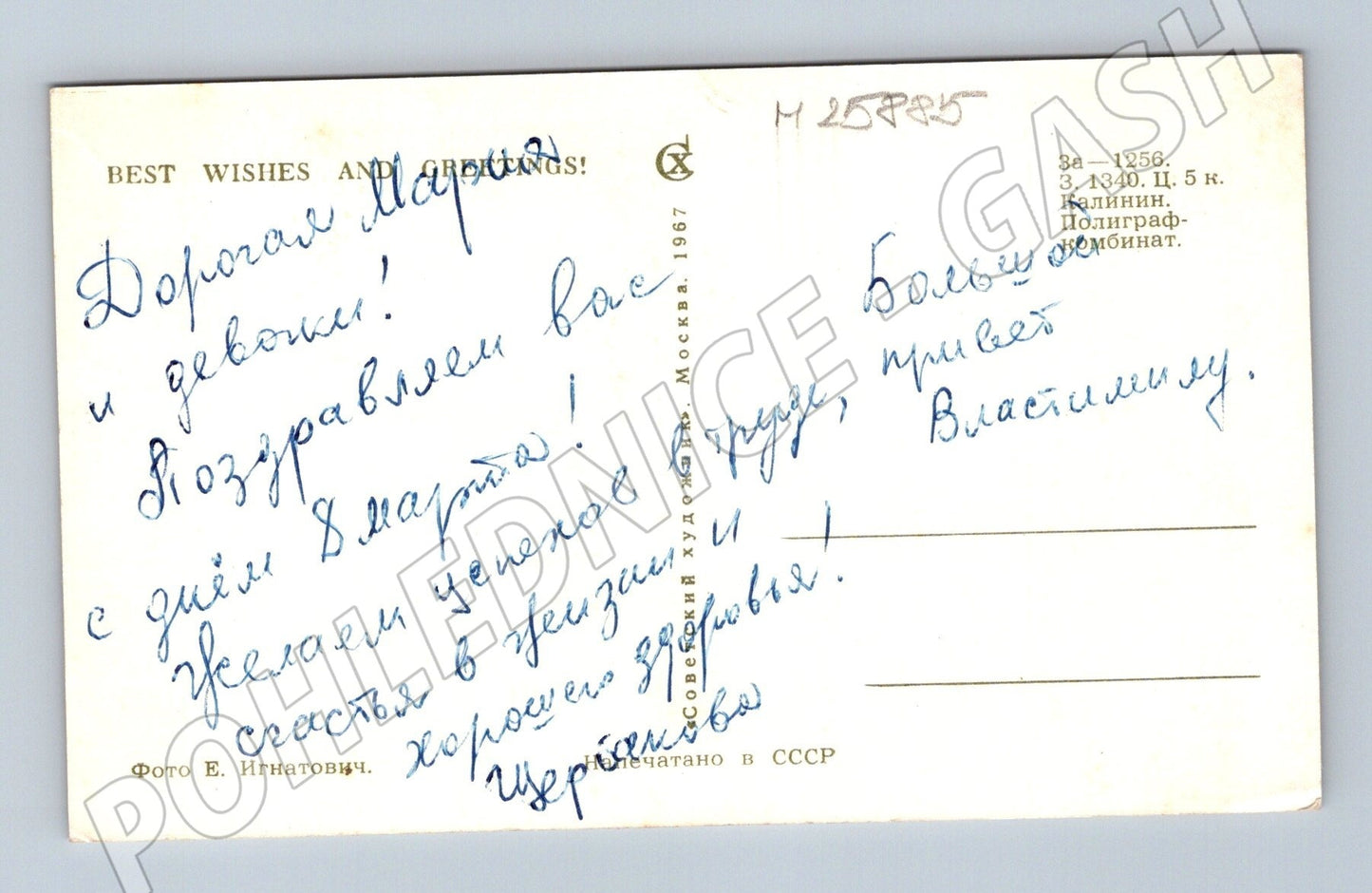 Pohlednice Rusko kopretiny k MDŽ 1967 (M25885)