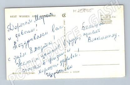 Pohlednice Rusko kopretiny k MDŽ 1967 (M25885)