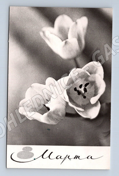 Pohlednice Rusko Květiny 8. března 1967 (M25886)