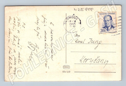 Pohlednice Kopretiny Srdečné přání 1955 (M25888)