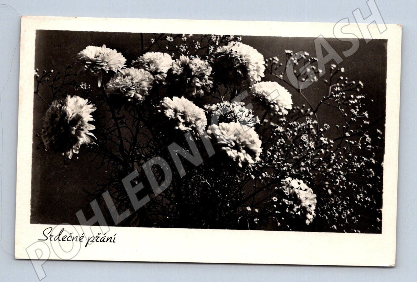 Pohlednice kytice květin  Srdečné přání  1954 (M25889)