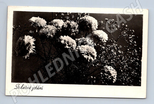 Pohlednice kytice květin  Srdečné přání  1954 (M25889)