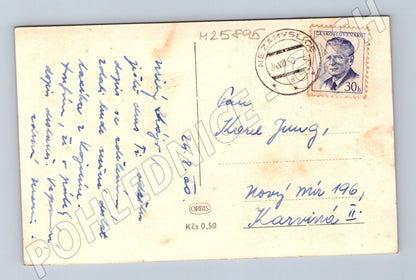 Pohlednice Květy prvosenky 1950 (M25895)