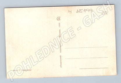 Pohlednice Rusko Květiny Růže 1966 (M25899)