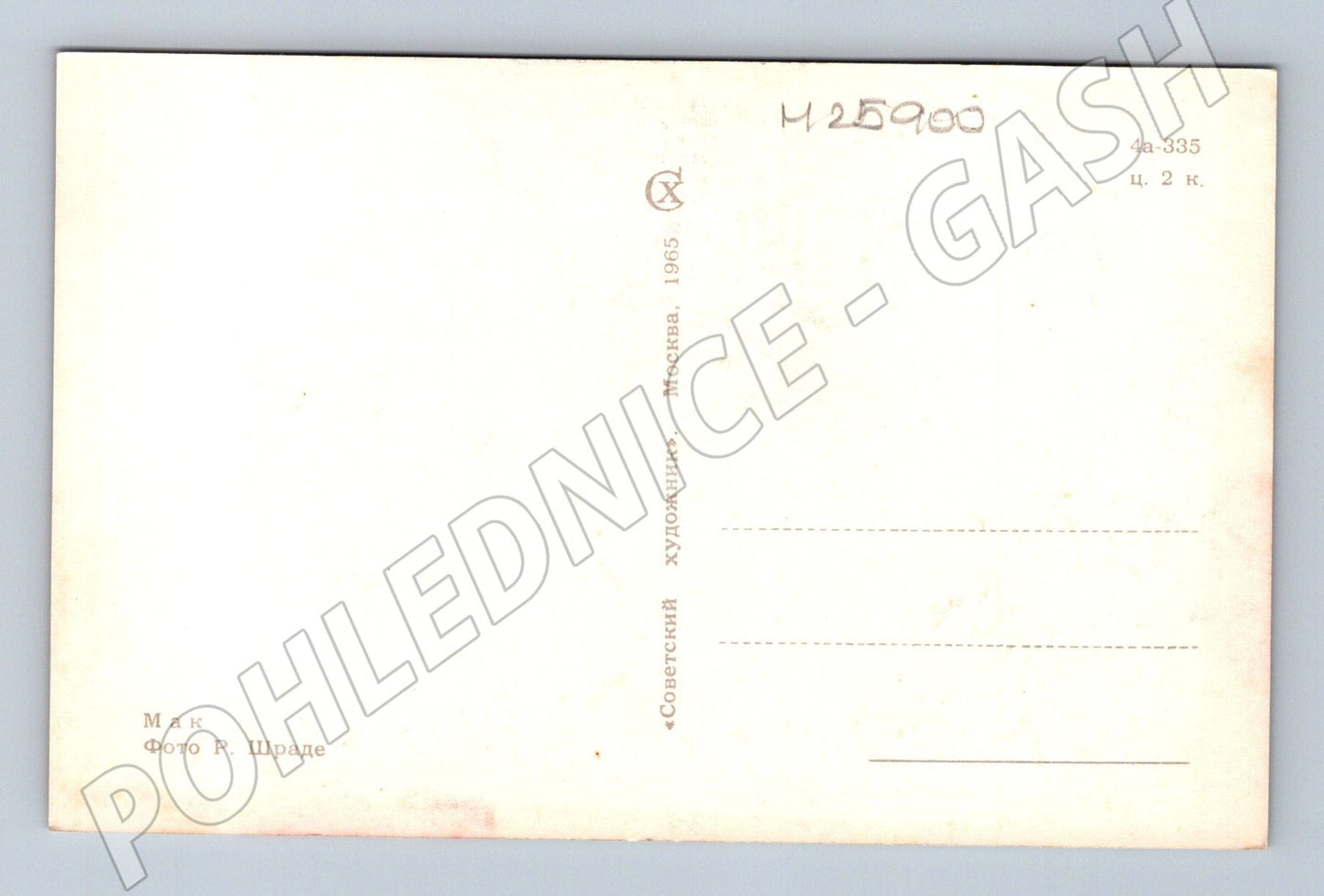 Pohlednice Rusko mák 1965 (M25900)