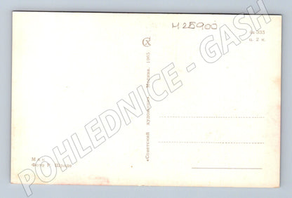 Pohlednice Rusko mák 1965 (M25900)