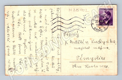 Pohlednice Brno okolí solitérní strom s postavou 1940 (M25902)