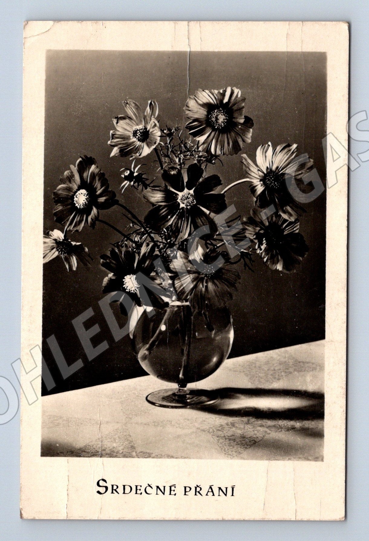 Pohlednice květiny Srdečné přání 1930 (M25907)
