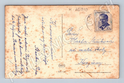 Pohlednice Srdečné přání moderní květiny 1950s (M25910)