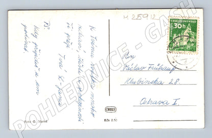 Pohlednice SRDEČNÉ PŘÁNÍ narcisy 1962 (M25912)
