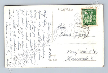 Pohlednice kvetoucí větev okno ca 1960 (M25920)