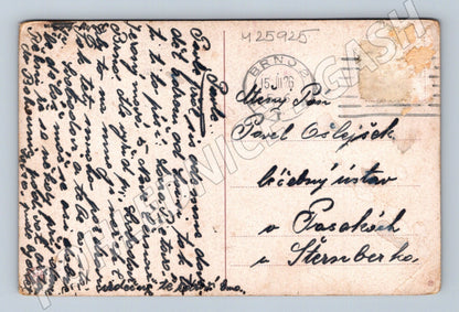 Pohlednice dítě s květinami 1926 (M25925)