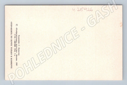 Pohlednice Rusko dekorativní žena květiny 1985 (M25926)