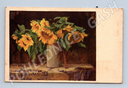 Pohlednice Slunečnice 1943 (M25927)