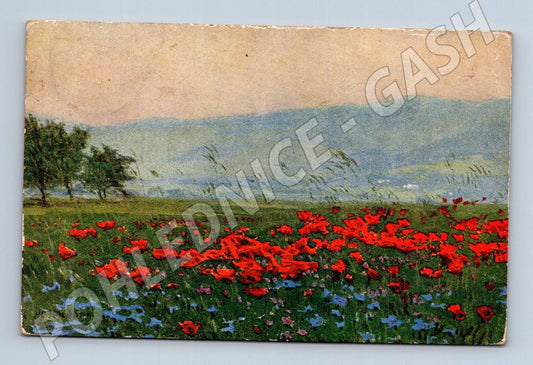 Pohlednice pole s vlčími máky a hory 1943 (M25937)