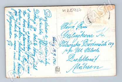 Pohlednice pole s vlčími máky a hory 1943 (M25937)