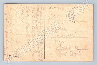 Pohlednice květiny 1956 (M25943)