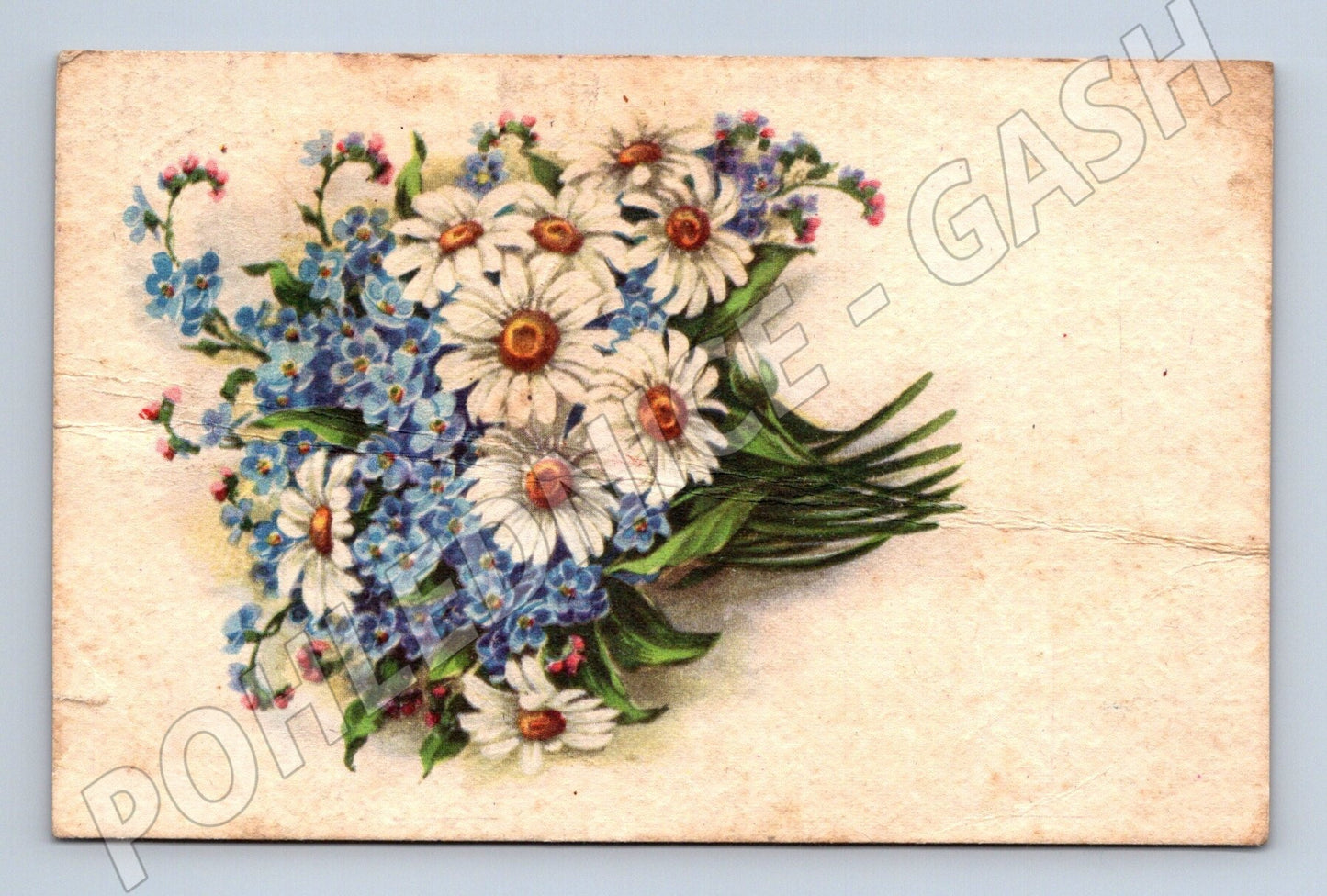 Pohlednice kytice sedmikrásek a pomněnek 1920s (M25953)