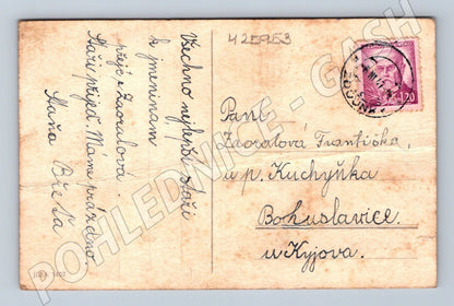 Pohlednice kytice sedmikrásek a pomněnek 1920s (M25953)