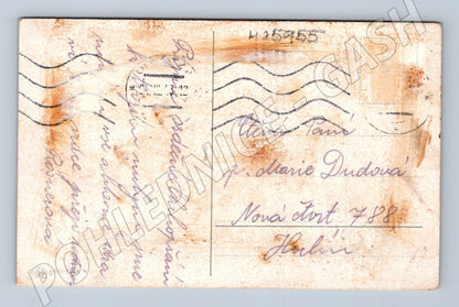 Pohlednice kytice karafiátů (M25955)