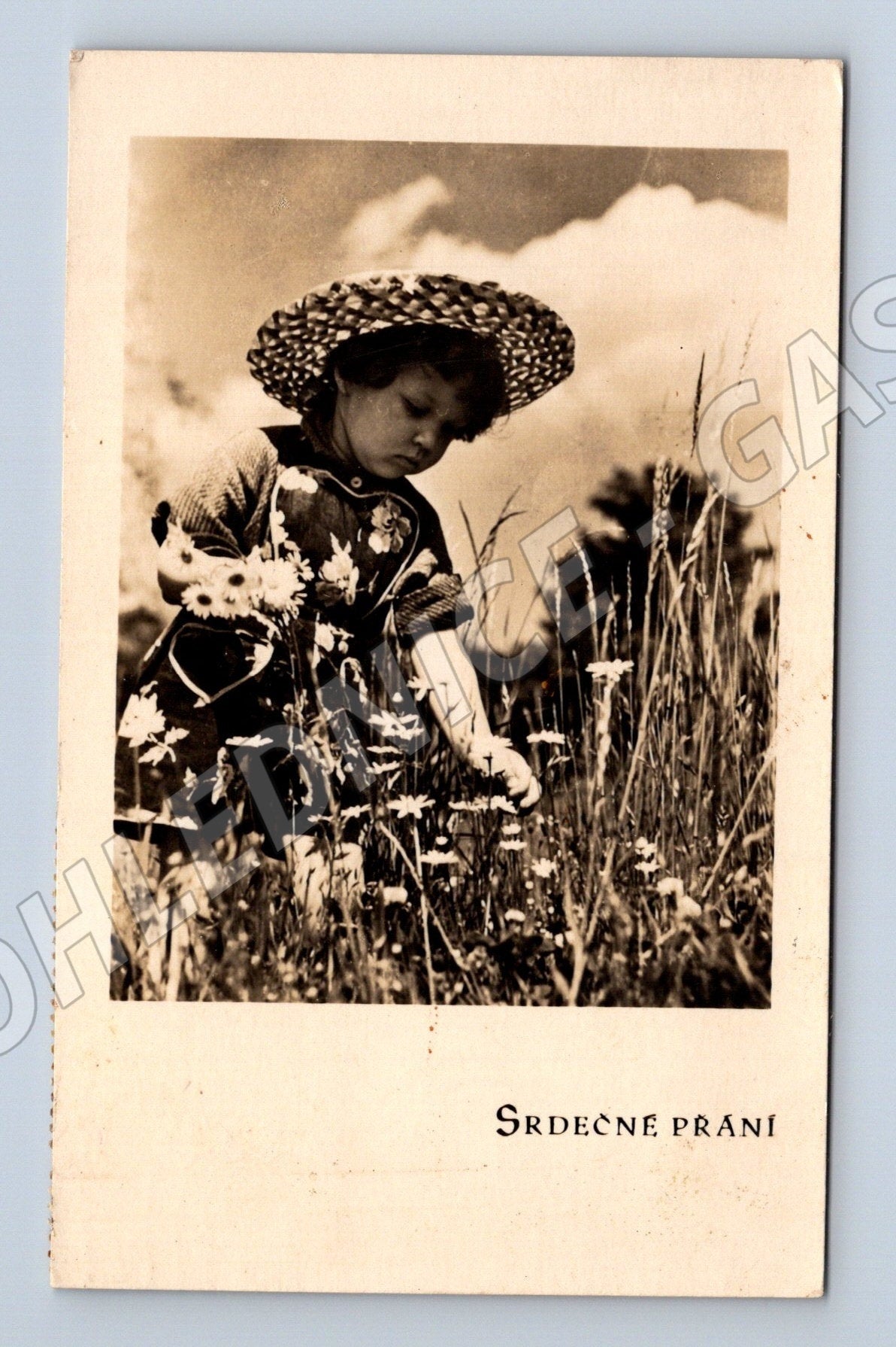 Pohlednice dívka s kloboukem v poli  Srdečné přání  1958 (M25957)