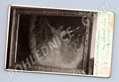 Pohlednice Československo umělecký motiv 1916 (M25975)