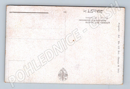 Pohlednice Itálie Andrea del Sarto Nanebevzetí Panny Marie (M25985)