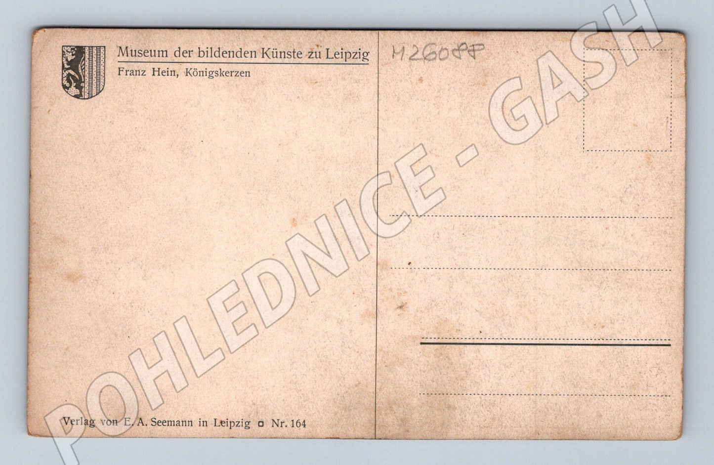 Pohlednice Německo umělecký motiv Franz Hein Königskerzen (M26088)
