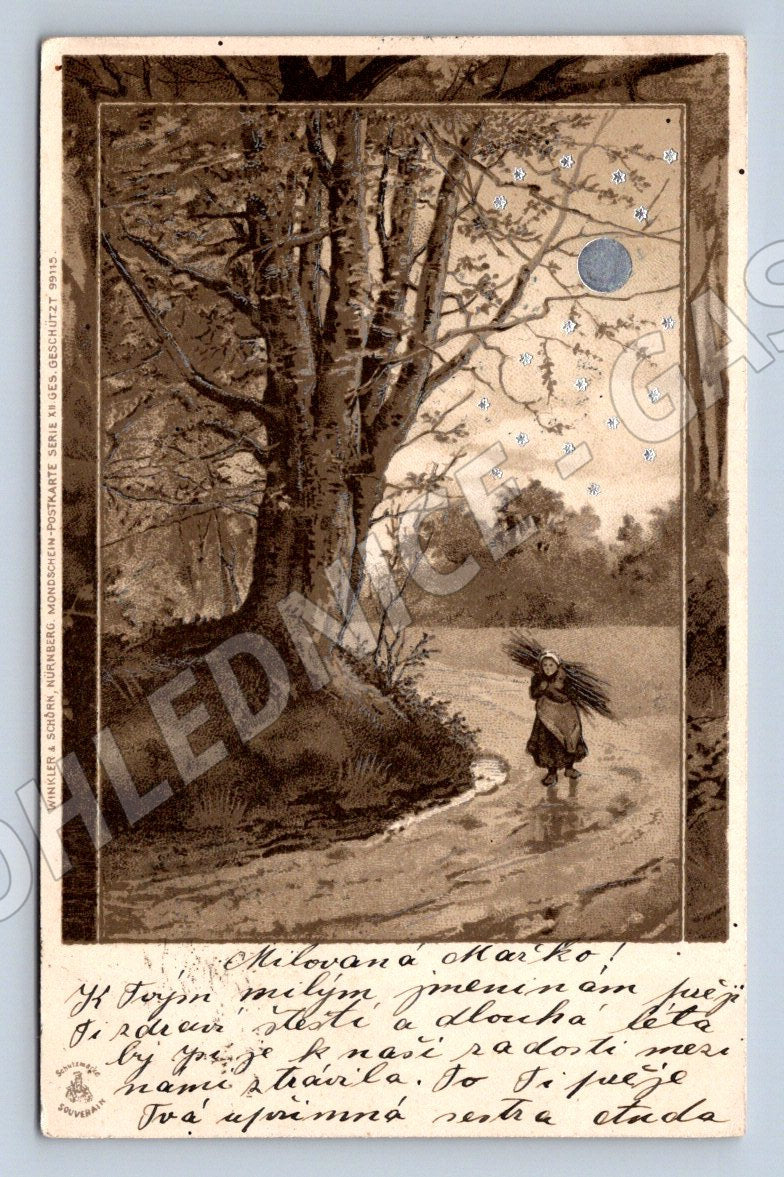 Postcard Winter Moonlight Landscape (M2610)