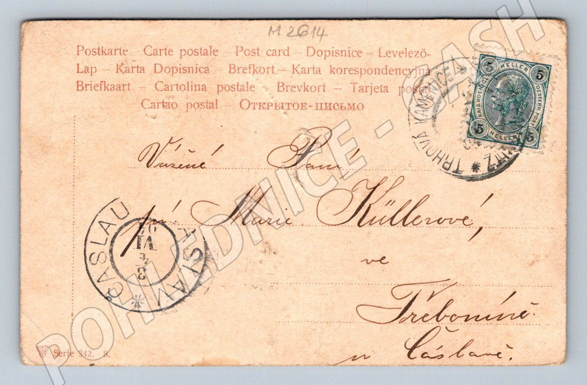 Postcard colored flower written (M2614)