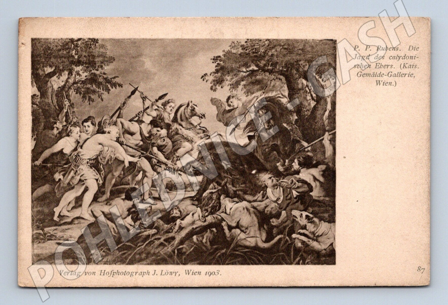 Pohlednice Rakousko Rubens Kaledonský lov na kance 1903 (M26150)