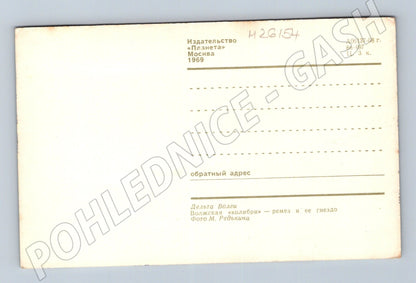 Pohlednice Rusko Remez a hnízdo 1969 (M26154)