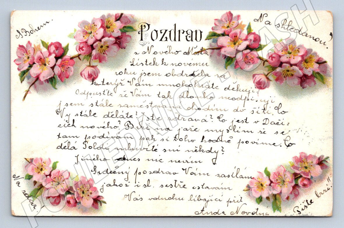 Postcard flowers Czech greeting (M2616)
